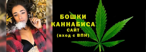 твердый Кулебаки