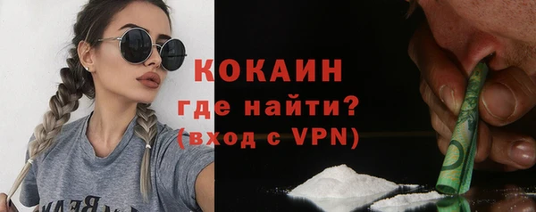 твердый Кулебаки