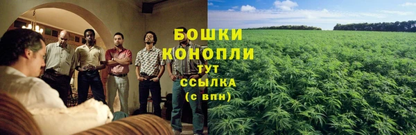 шишки Куйбышев